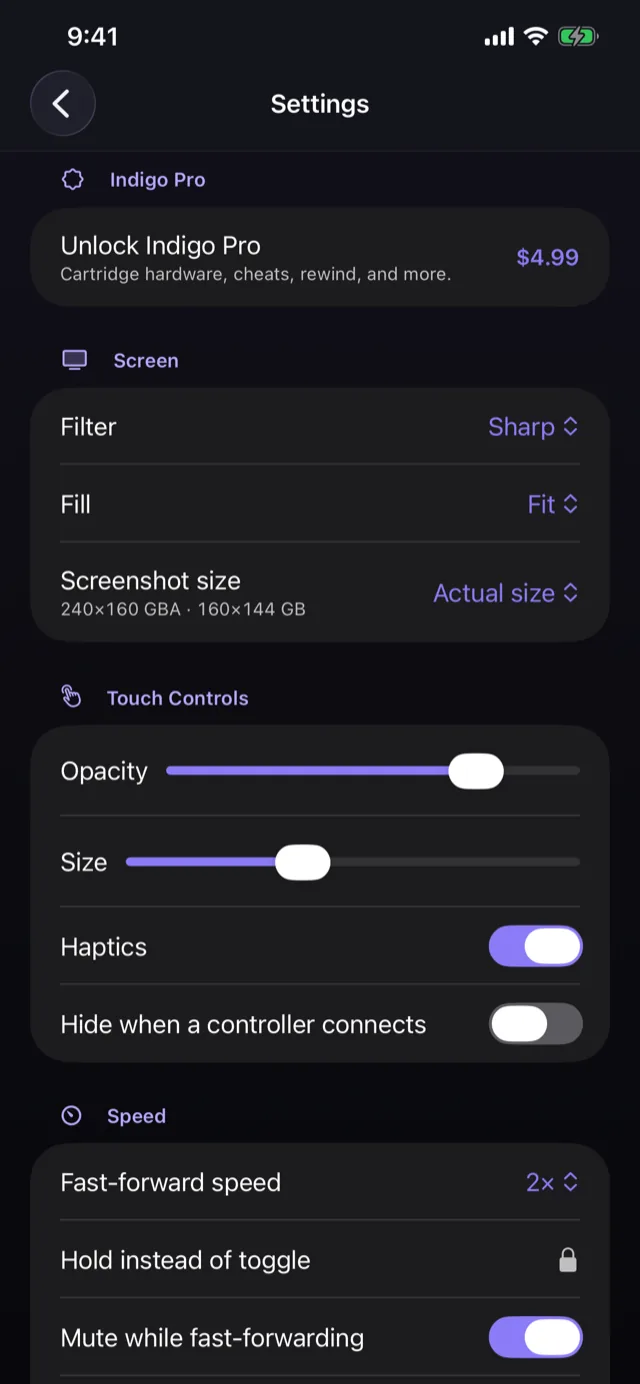 Settings: the Indigo Pro unlock, screen filter and fill, screenshot size, touch control opacity, size and haptics, and fast-forward speed