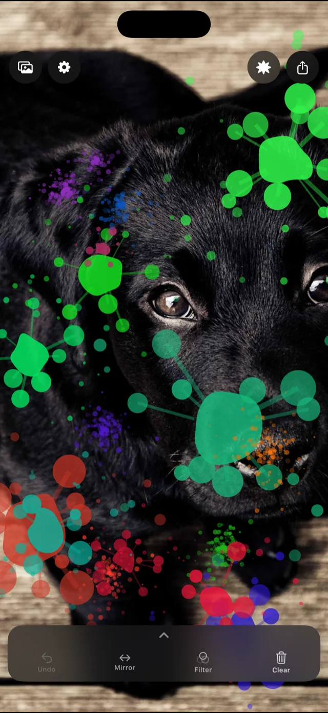 Green and teal paint splattered over a photo of a black dog