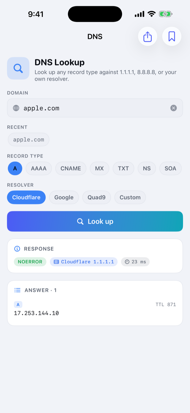 DNS lookup with record-type and resolver choices