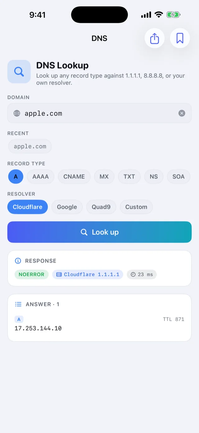 DNS lookup with record-type and resolver choices