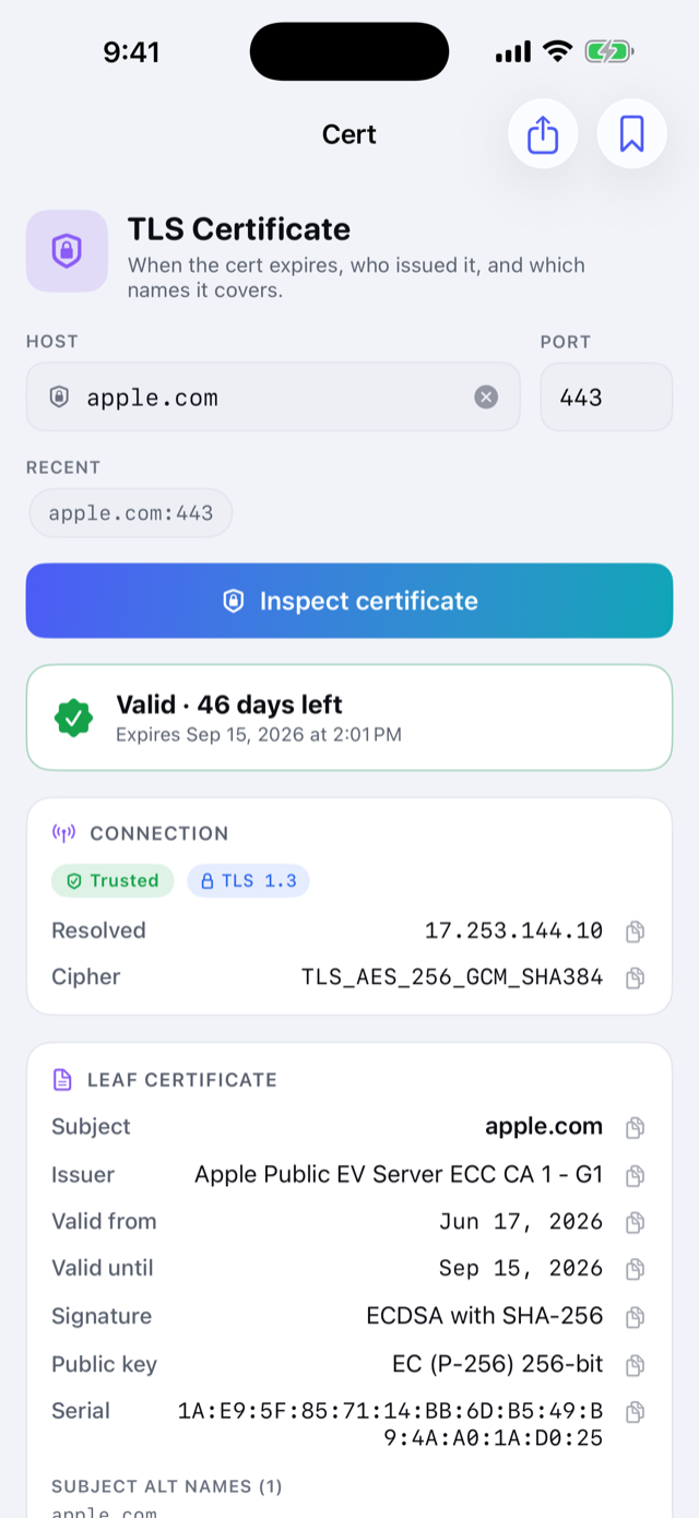 TLS certificate inspection: validity, chain, and expiry