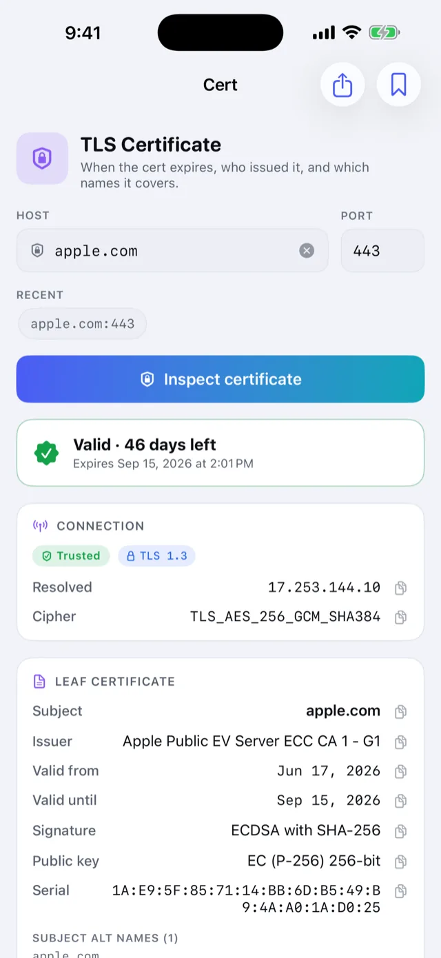 TLS certificate inspection: validity, chain, and expiry